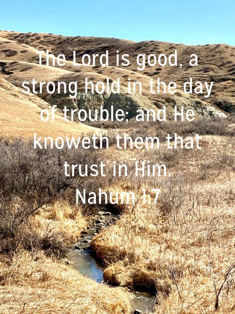 Book Of Nahum